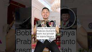 Bobby kucingnya pak Prabowo pindah ke Istana Negara Menarik nih shorts [upl. by Perkoff]