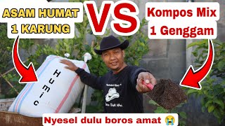 Kompos se Ember untuk 100 Tanaman sampai panen [upl. by Teilo841]