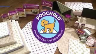 An Introduction to PoochPad Products [upl. by Leviram]