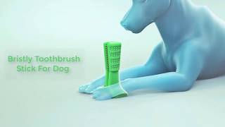 Bristly Toothbrush Stick For Dog On Sale DIY Toothbrush For Dog [upl. by Ahtekal]