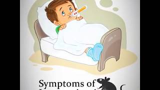 LEPTOSPIROSIS  Signs and Symptoms of Leptospirosis [upl. by Naltiac]