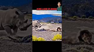 Lion kings vs rhino animals wildanimals wildlife lion elephant automobile phonk music [upl. by Nyasuh]