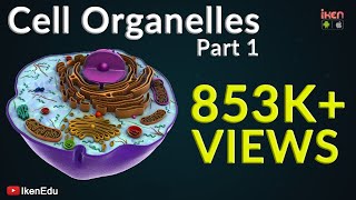 Cell Organelles  Part 1  Animation Video  Iken Edu [upl. by Thilda]