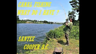 Summer Catfishing Santee Cooper Lakes Diversion Canal catfish fishing riverfishing [upl. by Butler]