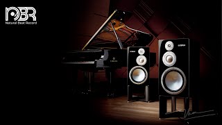 Best Audiophile Collection  High Quality Music  Audiophile NBR Music [upl. by Damiani]