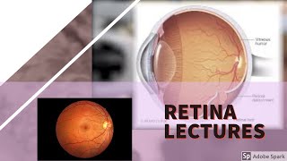 RETINA LECTURE 4 DIABETIC RETINOPATHY in detail with all important stuff [upl. by Kiryt]