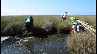 Mission in the Merja Zerga lagoon [upl. by Tace]