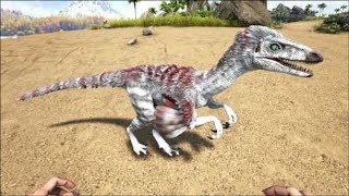 ARK SE  19 TOUT SUR LE TROODON FRHD [upl. by Heywood]