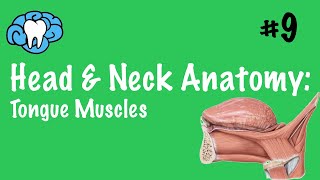 Head amp Neck Anatomy  Tongue Muscles  INBDE [upl. by Sussna639]