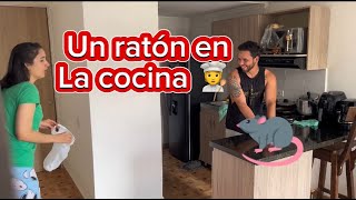 un raton en la cocina [upl. by Fox94]