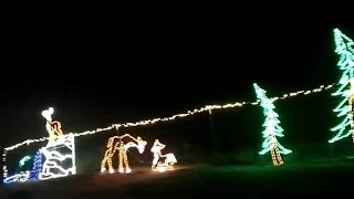 Christmas Tree Farm and Christmas Light Hayride Southern California December 2023 Los Angeles area [upl. by Crompton462]