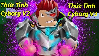 Roblox  Nâng Cấp Tộc Cyborg Lên V2 V3 Với Sức Chống Chịu Khủng Và Phản Đòn Cực Mạnh  Blox Fruit [upl. by Eilliw]