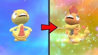 How to Evolve Scraggy into Scrafty in Pokemon Scarlet amp Violet DLC [upl. by Uchida959]