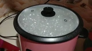 রাইস কুকারে ভাত রান্নার পদ্ধতি।। Cook Rice in Rice Cooker Rice cooker e vat ranna korer System [upl. by Adnalram680]