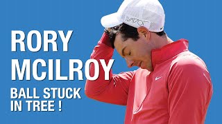 Rory Mcilroys ball gets stuck in a tree [upl. by Bridie]