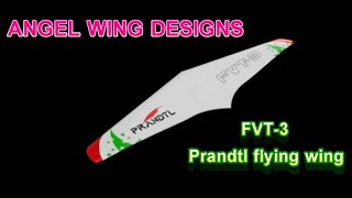 Prandtl Flying Wing FVT3 Part 6 HatchElevons Ballast beads [upl. by Niwrud]