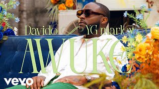 Davido YG Marley  Awuke Official Video [upl. by Eislrahc894]