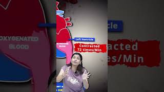 neet what is stroke volume neet concept by Ritu mam ❤️❤️ [upl. by Nigam]