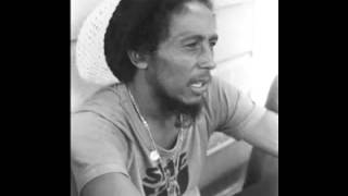 Bob Marley  Rastaman Live Up Dont Give Up Black Ark Mix [upl. by Naivat]