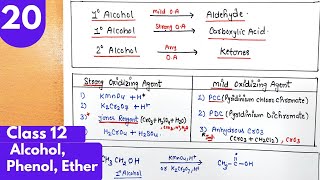 20 Oxidation of alcohols reaction of alcohol with KMno4 Jones reagent PCC Alcohol phenol class12 [upl. by Hairakcaz]