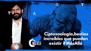 Criptozoología bestias increíbles que pueden existir I Más Allá [upl. by Aitnic]