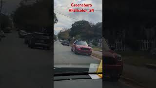 Fall color fallcolors 2024 shortvideo shorts greensboro [upl. by Dorehs170]