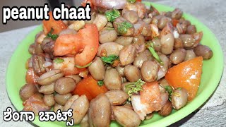 peaunt chaat recipe in Kannada  tasty evening snacks recipe  ಶೆಂಗಾ ಚಾಟ್ಸ್  simple and easy [upl. by Drucilla]