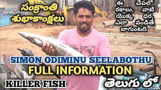 BARRACUDA  SEELABOTHU  ఒడిమీను  SIMON [upl. by Christy311]