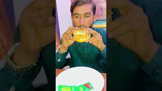 Zinger burger 🍔 vlog10 alivloger viralvideo [upl. by Idelle]