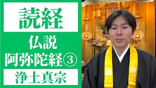 【読経】仏説阿弥陀経➂／浄土真宗本願寺派【一緒にとなえましょう】 [upl. by Sac]