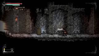 The First 17 Minutes of Salt and Sanctuary on Switch [upl. by Iahs]