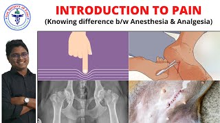 Introduction to Pain  Anesthesiology  Lecture 04 [upl. by Thordis764]