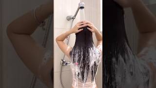 😮✅️ hair growth tips ✨️ shorts hairgrowth haircare diy longhair stophairfall [upl. by Tilford]