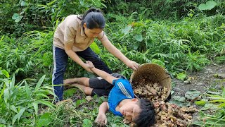 Orphan boy and Mute girl Harvest the ginger garden the market to sell amp Cooking l Life orphan [upl. by Fonzie]