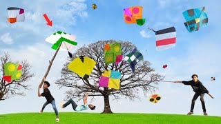 kite tree big kites dhoka three big kites caught rait kite loverskiteflying [upl. by Atiekal75]