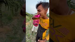 Inko Fruits Kaha se mel Gya minivlog aftabvlog shorts farming vlog aftabshaikh [upl. by Noived8]