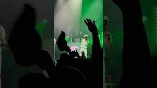 Yachtley Crew live HD Escape Piña Colada song Rupert Holmes cover  Rialto Theater 5324 [upl. by Berrie]