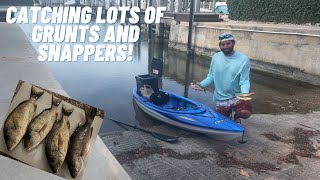 CATCHING HUGE GRUNTS WHILE KAYAK FISHING IN THE FLORIDA KEYS  KAYAK FISHING FOR MANGROVE SNAPPER [upl. by Ajax]