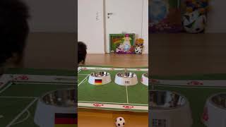 Germany  Scotland Deutschland  Schottland Oracle Hugos prediction for todays match euro2024 [upl. by Norris523]