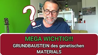 Überlebenswichtig  Grundbausteine 💪 für unsere Gene quotNukleotidequot leaky gut syndrom usw‼ [upl. by Lipson]