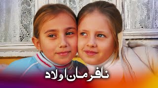 اسلام کا بلبل کائنات کو بابرکت پیغام سناتا ہے  ایچے اور نیشے [upl. by Roxane]