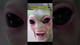 Extrañas criaturas captadas en cámara alien mar terror [upl. by Jobe]