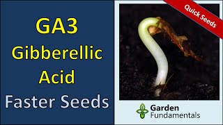 Gibberellic Acid  GA3  Germinate Seeds Faster  How and When [upl. by Inkster]