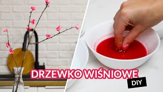 Jak zrobić drzewko wiśniowe w domu  DIY [upl. by Kennedy]