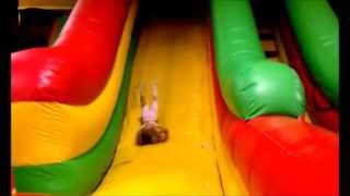 EPIC bouncy slide FAIL [upl. by Neff802]