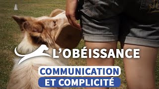 Obéissance canine  une discipline exigeante dans une main de velours [upl. by Marjie512]