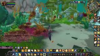 questie 81 An Occupation of Time 25581 WORLD OF WARCRAFT [upl. by Yrallih]