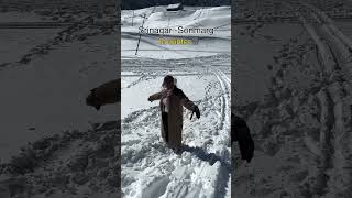 Sonmarg in winter ❄️🏔️ videoviral followme shorts travel travelvlog [upl. by Akemehc224]