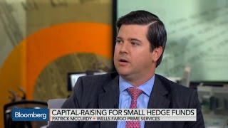 How Much Money Does a Hedge Fund Startup Need [upl. by Aicemaj]