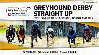 Greyhound Derby Straight Up  Quarter Finals  Greyhound Tips  RPGTV [upl. by Eletnahc447]